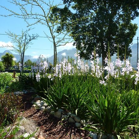 A Hilltop Country Retreat Villa Swellendam Esterno foto