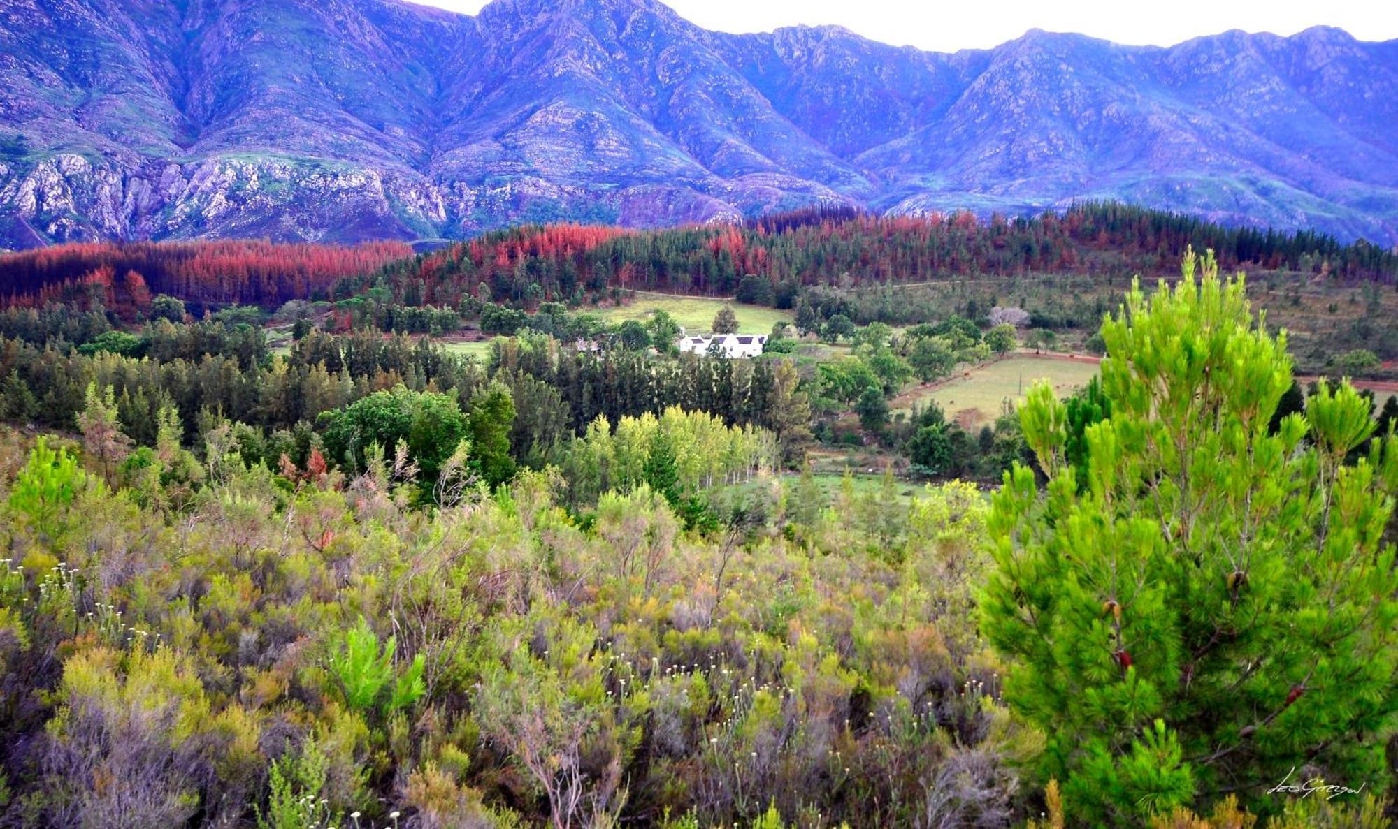 A Hilltop Country Retreat Villa Swellendam Esterno foto