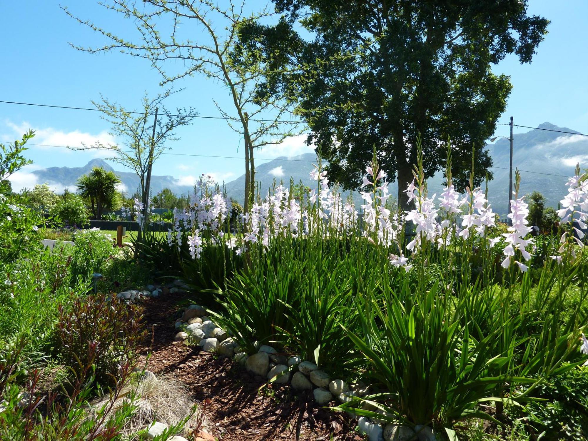 A Hilltop Country Retreat Villa Swellendam Esterno foto